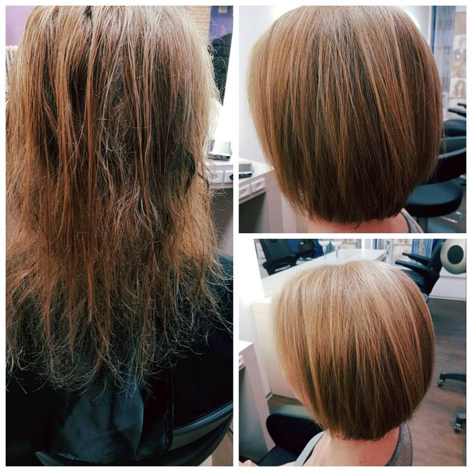 color-and-cut